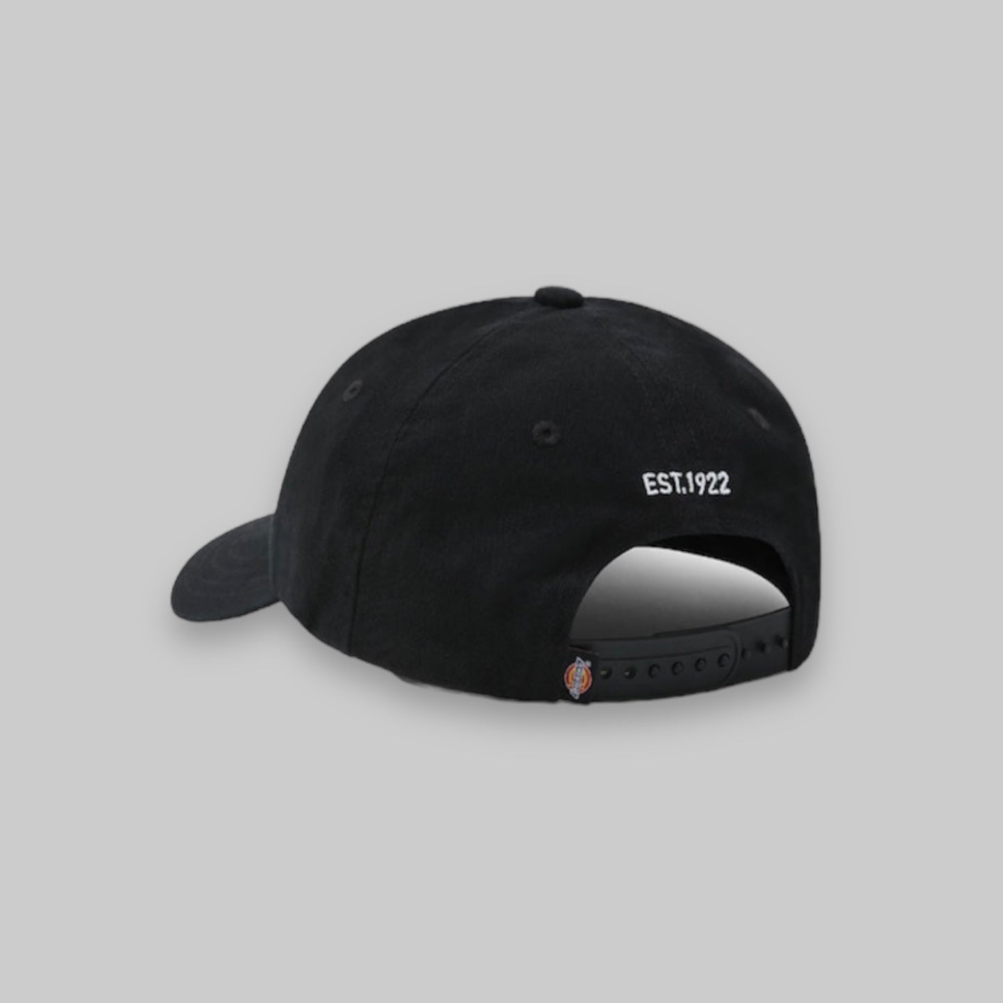 Gorro Dickies logo bordado