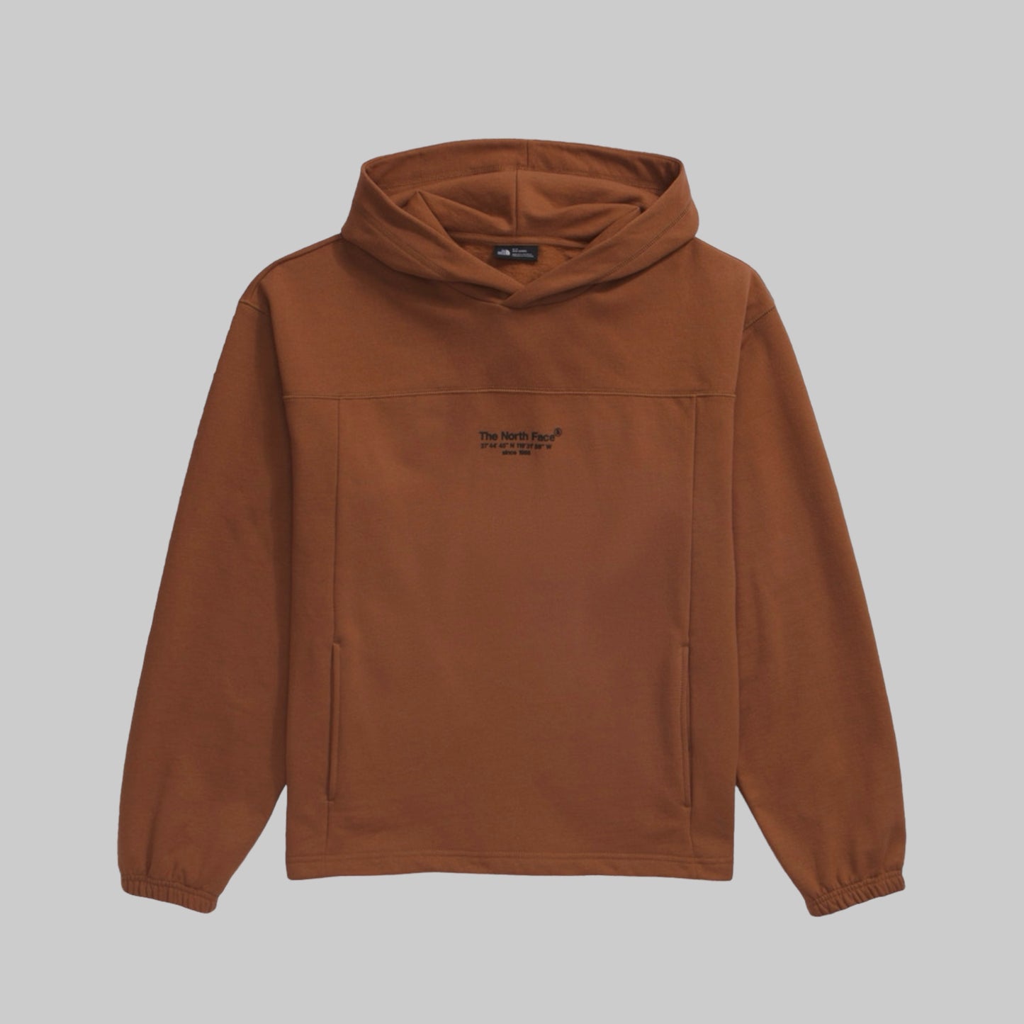 Hoodie The North Face Axys marrón unisex